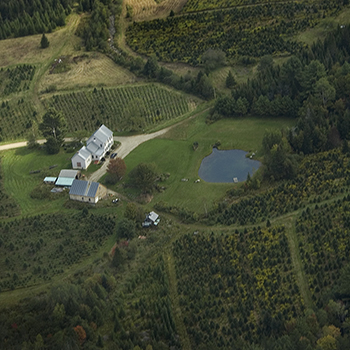 DeCell Farm