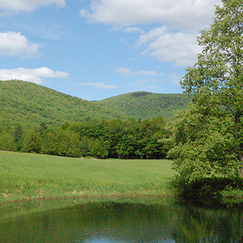 Maynard Brook Farm