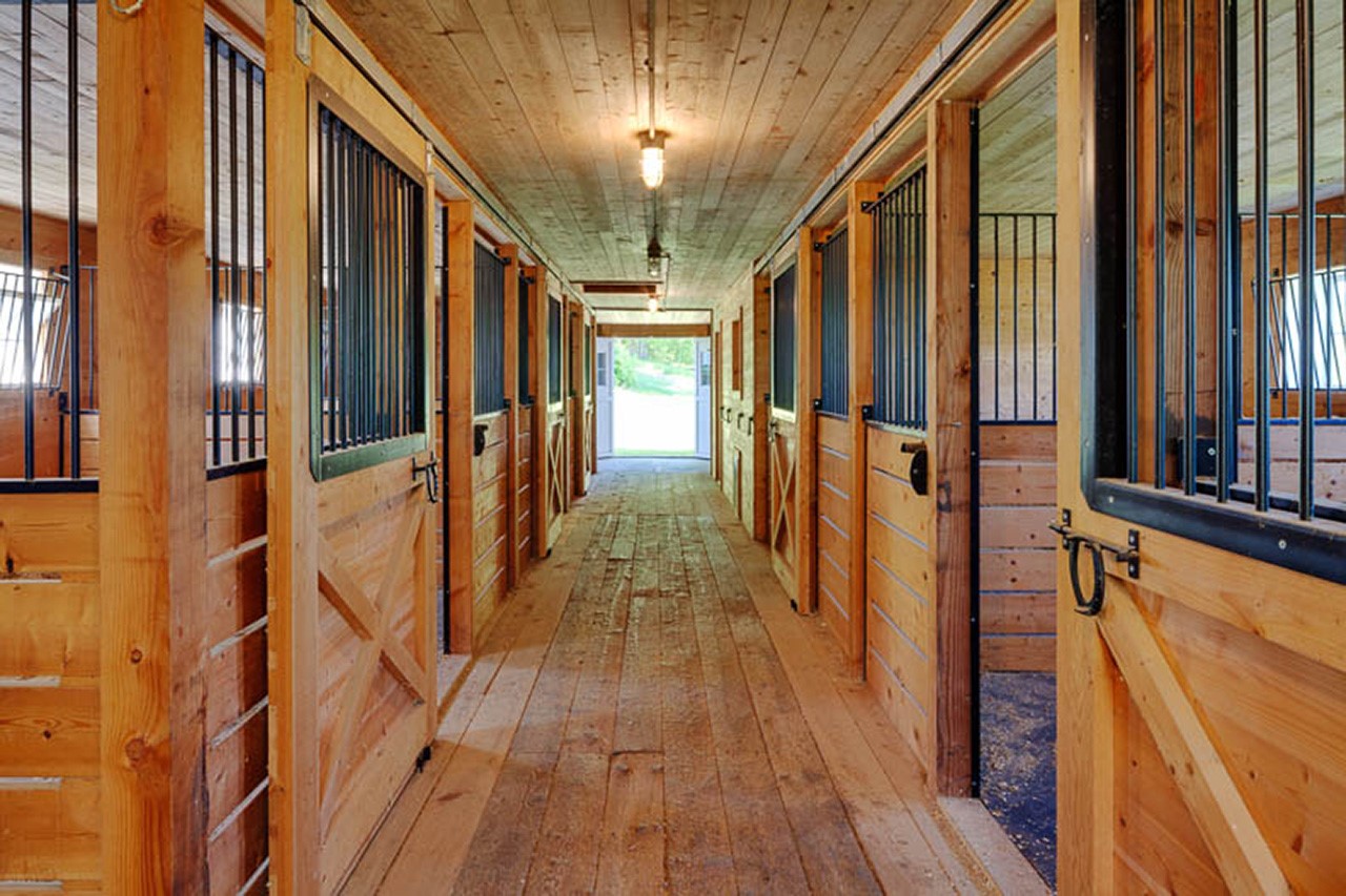 Serenity Farm - Stable Serenity Farm3