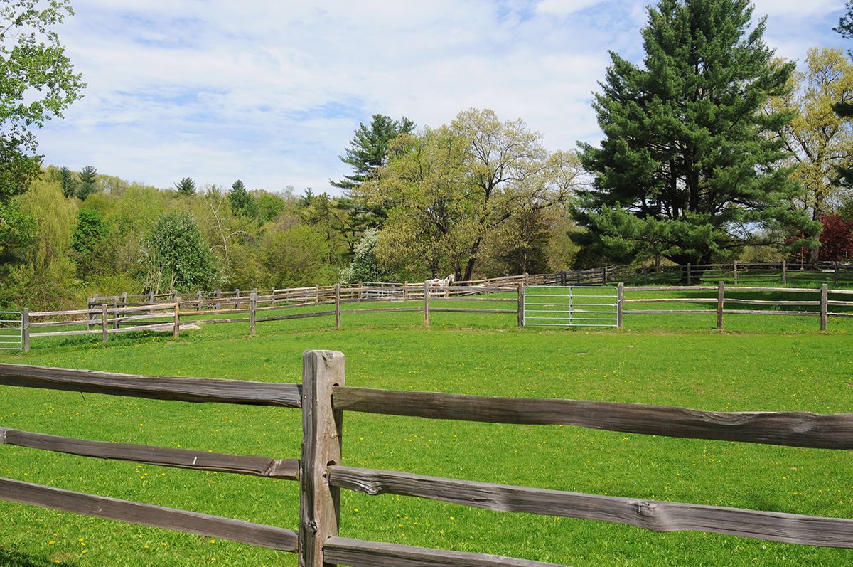 Paddock - The Ark, Harvard, MA 3