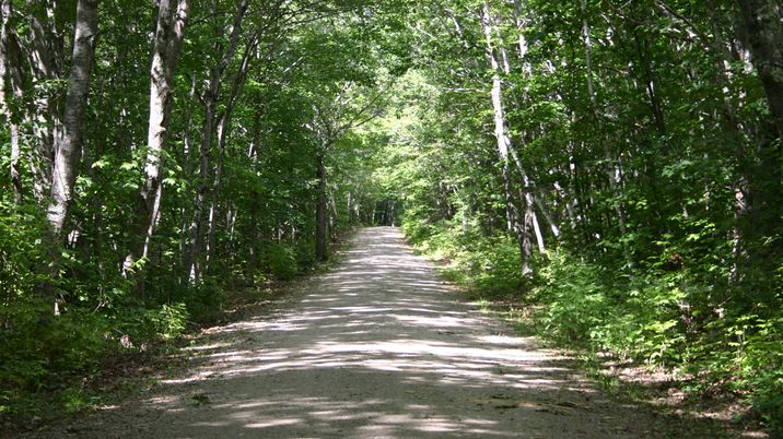 Welliver Farmm - located at end of mile-long private road - Lincolnville, ME Located_at_the_end_of_a_mile-long_private_road