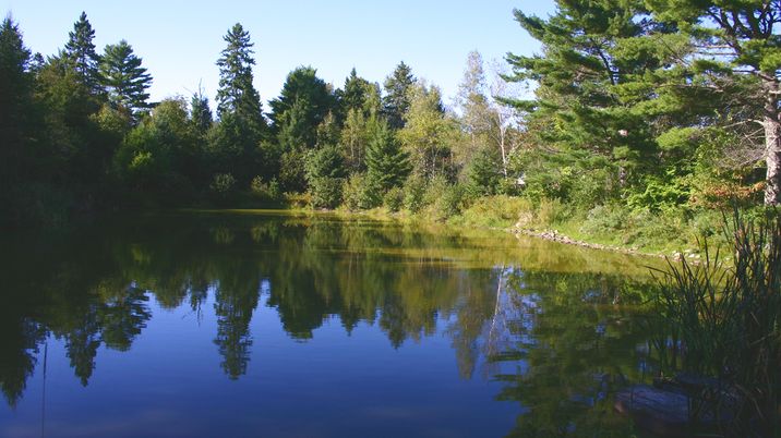 Two ponds - Welliver Farm, Lincolnville, ME Two_ponds