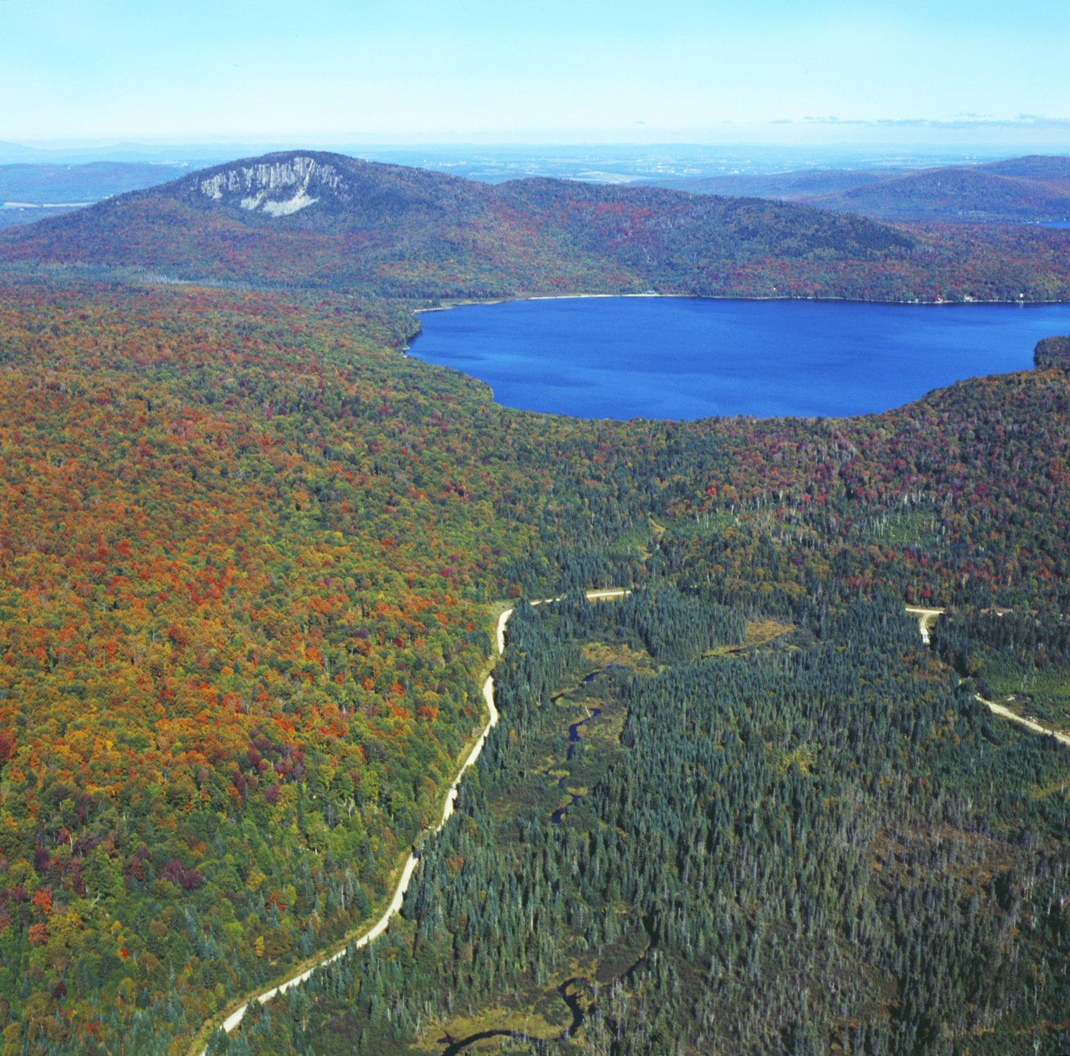 Five Brooks Forest, Vermont VT0696 Five Brooks_2_CC
