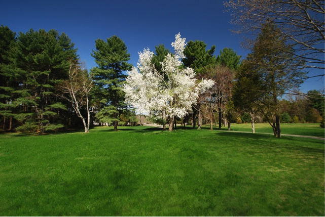 0 Barnes Hill Road, Concord, MA Untitled
