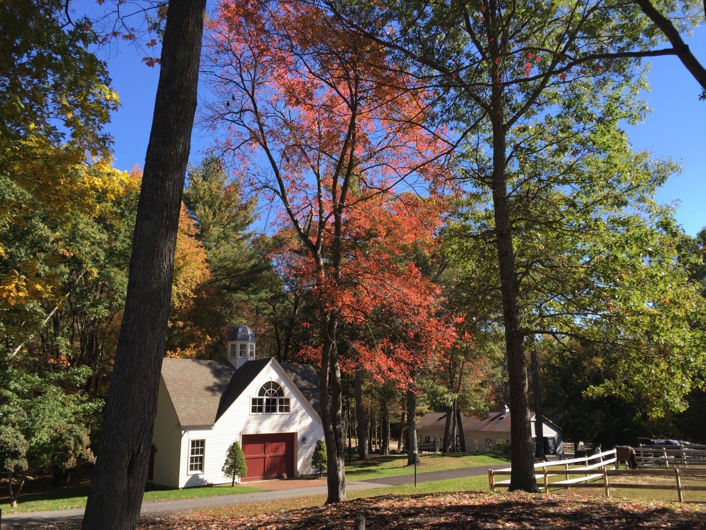 The beautiful colors of fall The beautiful colors of fall
