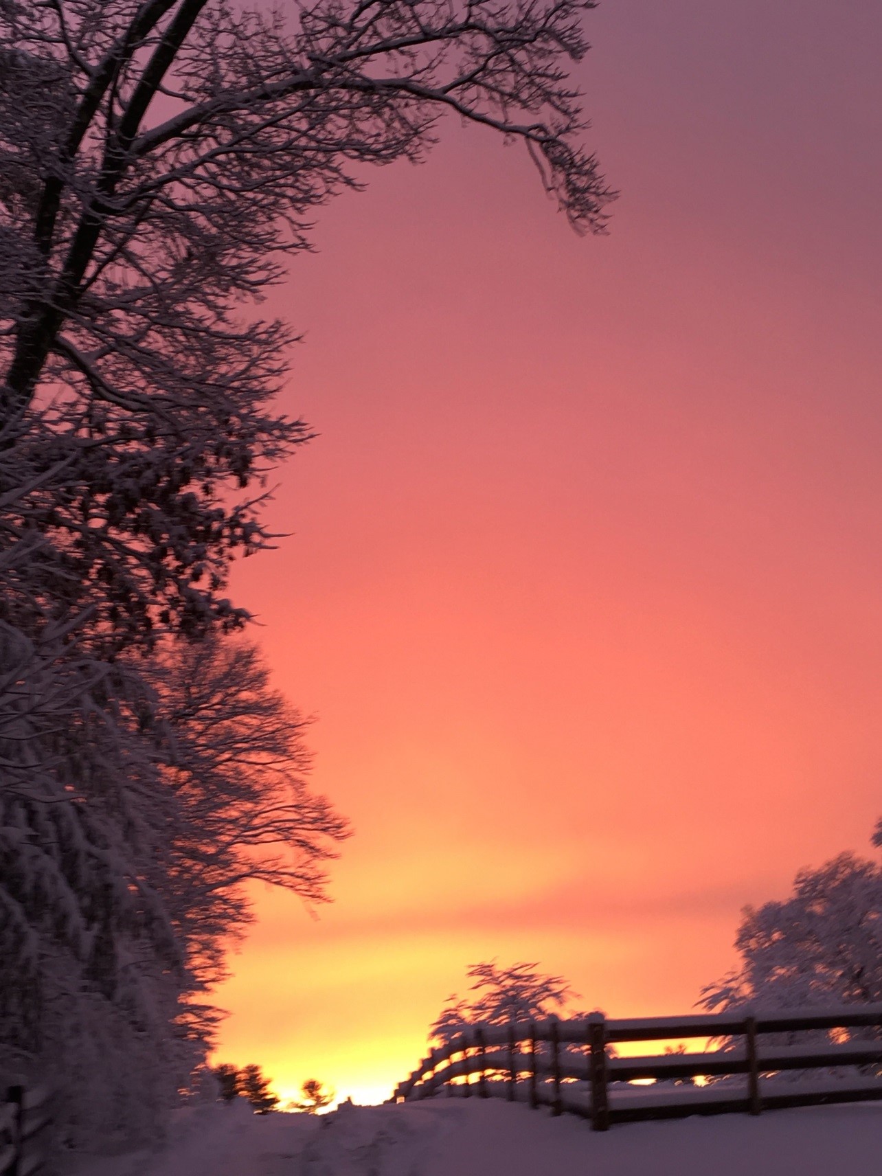Winter sunsets, the very best kind! Winter sunsets, the very best kind!