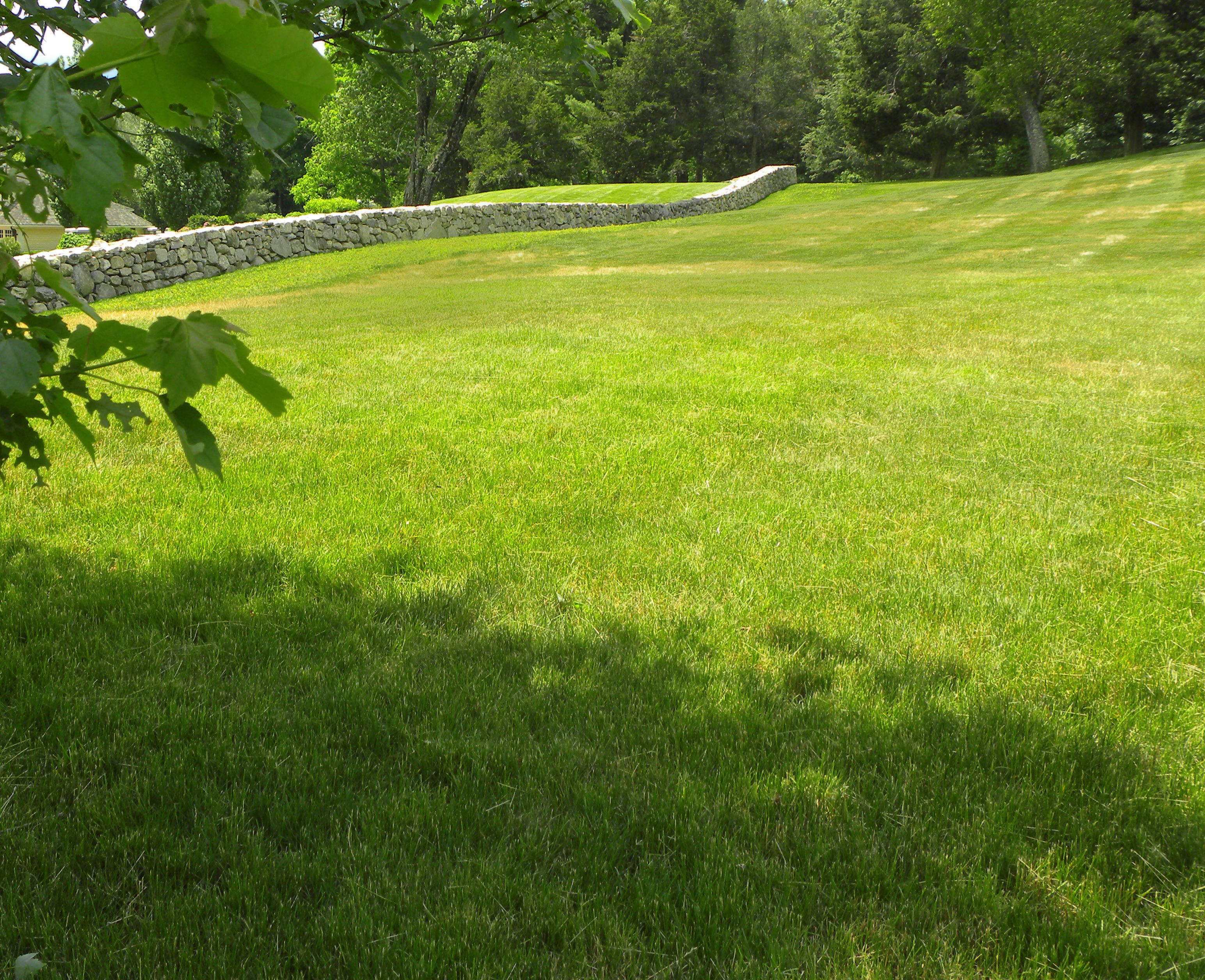 81 Estabrook Road, Concord, MA