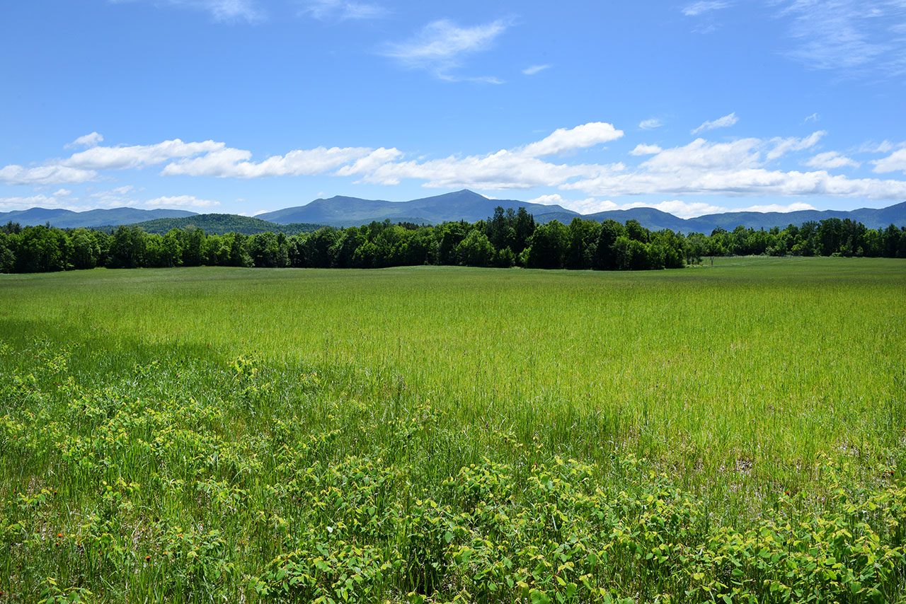 Norman Ridge Farms, Vermontville, NY Adirondack