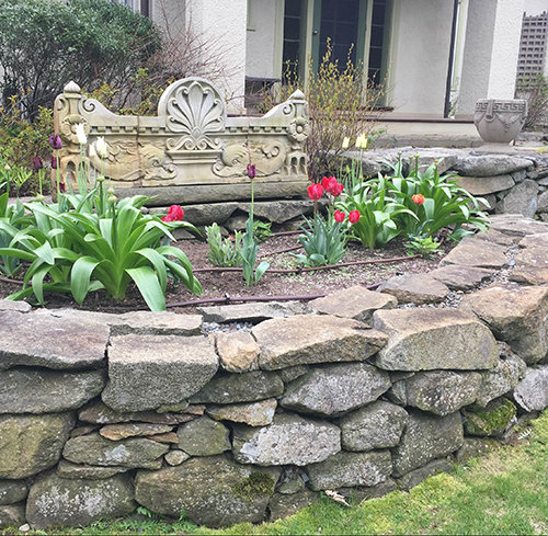 North Shore Spring Image: Newmarch Street