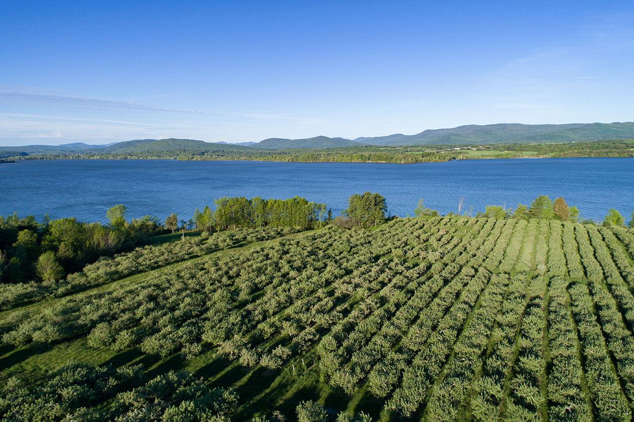 Vermont Real Estate