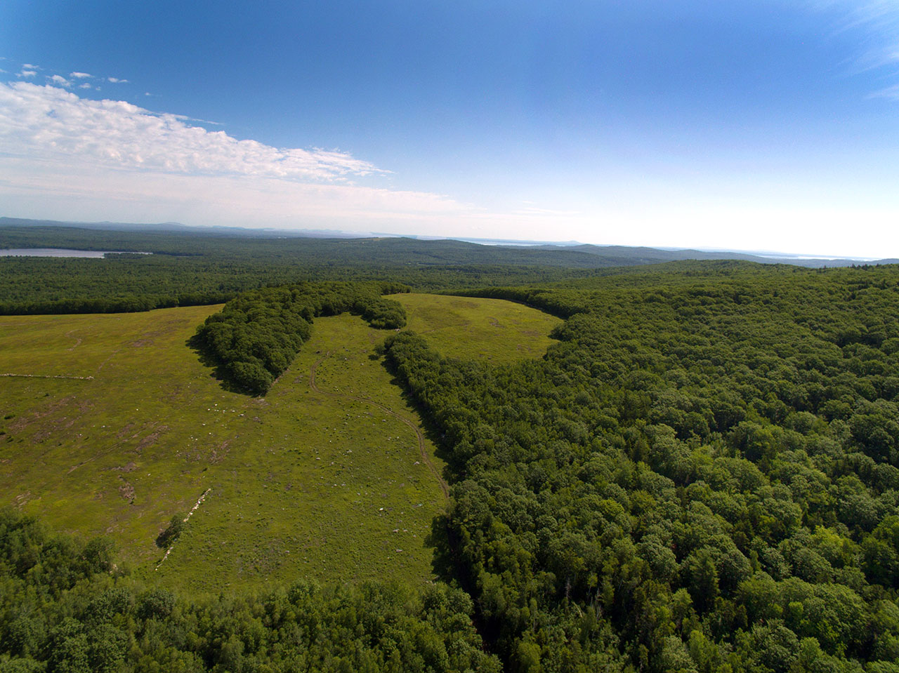 land offerings: Levenseller MT. ME1391_22_CC
