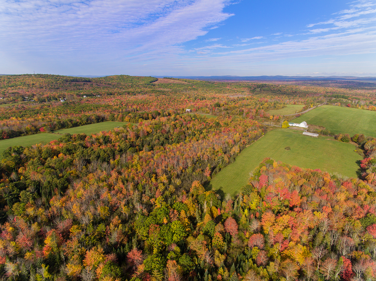 Greenlaw Farm outstanding conservation value: ME1422_1_CC