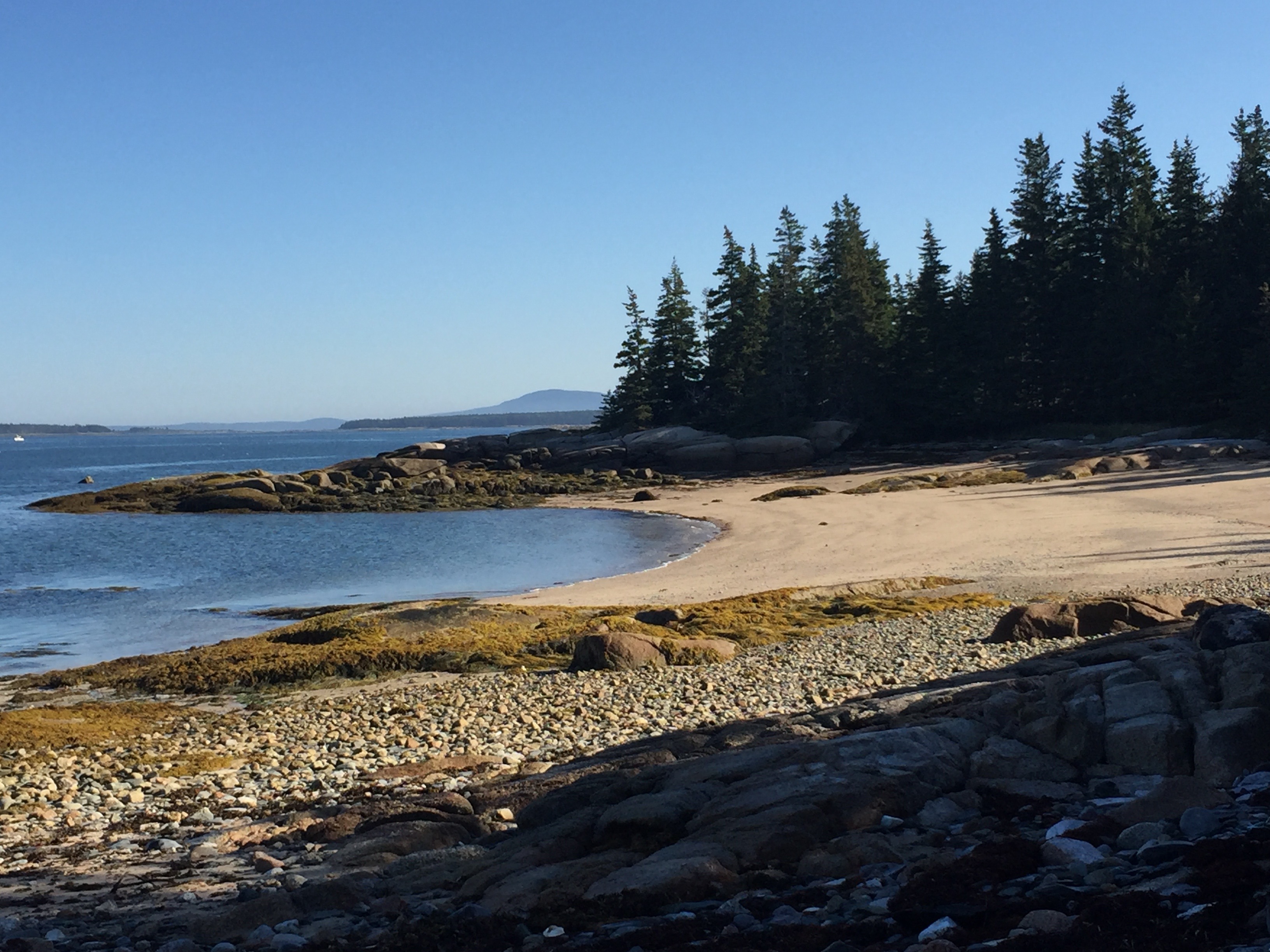 Swans Island Head | Swans Island, ME maine island ME1434_11