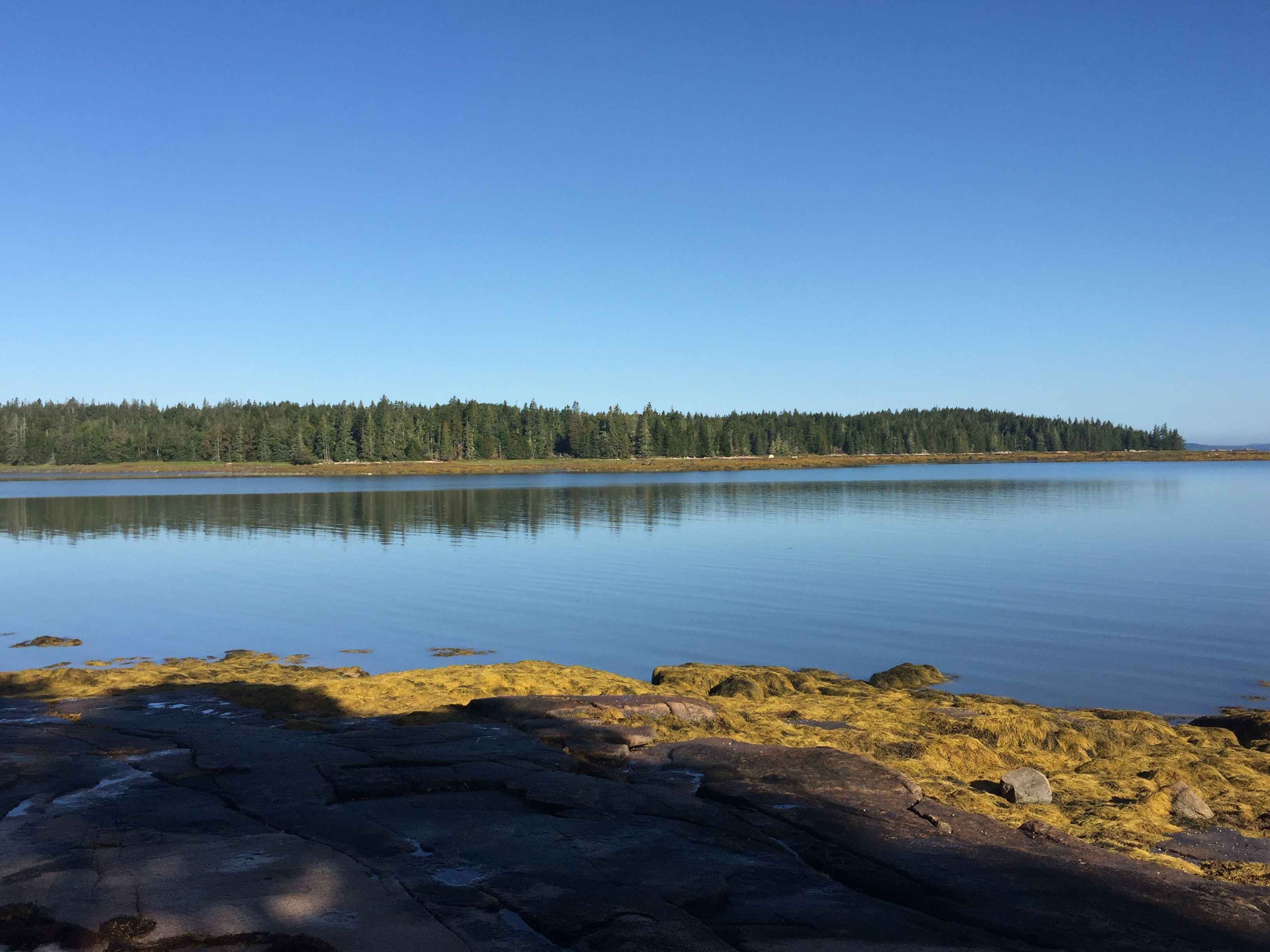Swans Island Head | Swans Island, ME maine island ME1434_2_CC
