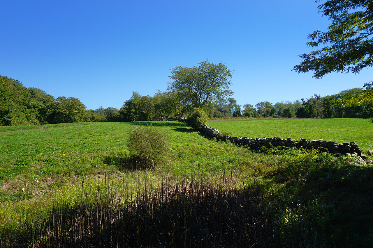 Fogland Farmland outstanding conservation value: RI0082_6_CC