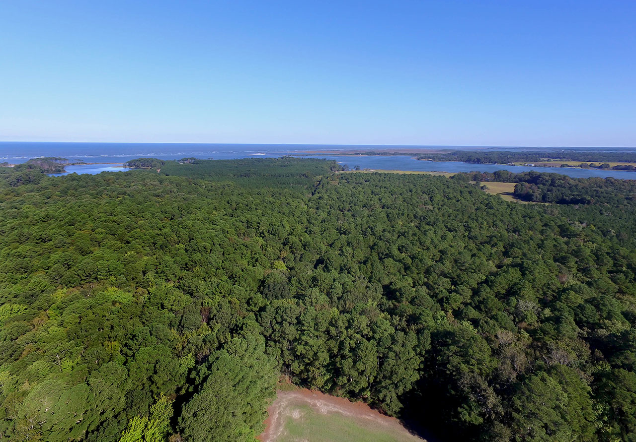 Vineland on the Chesapeake outstanding conservation value: vineland on the chesapeake