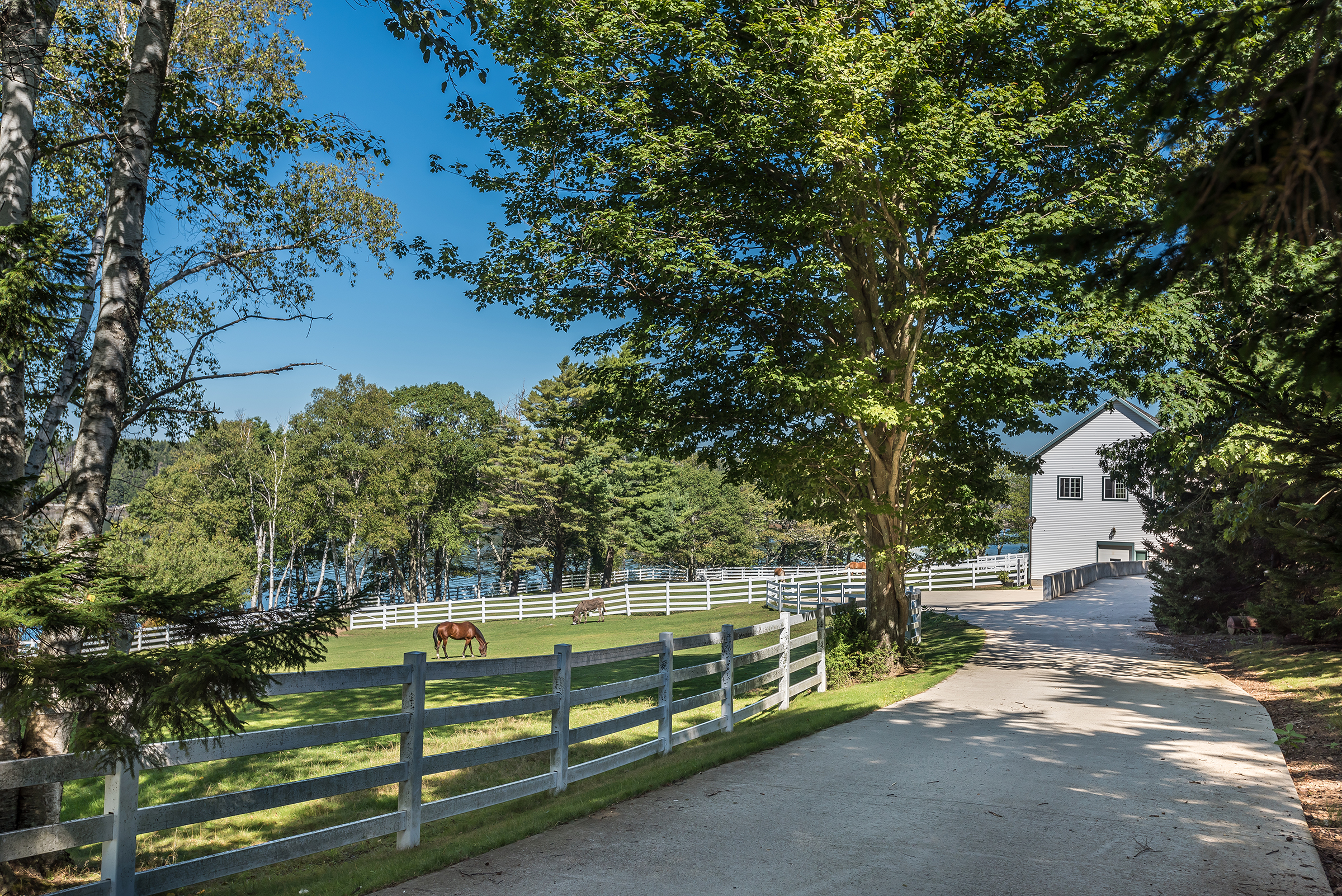Equestrian life - Hope Island Hope Island