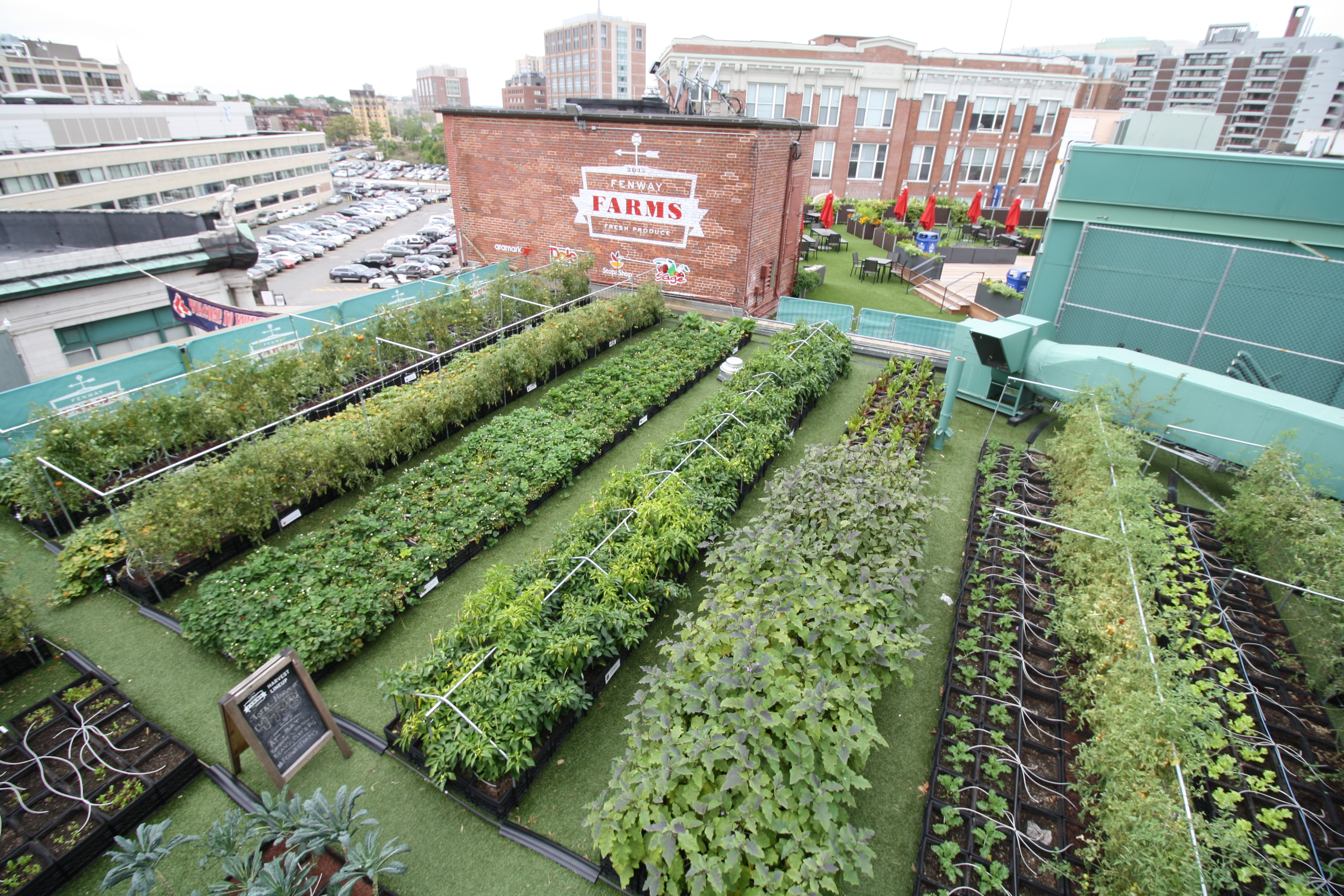 Fenway Park Rooftop Garden recover-green-roofs-fenway-farms-oct-2016-9 photo courtesy of Recover Green Roofs