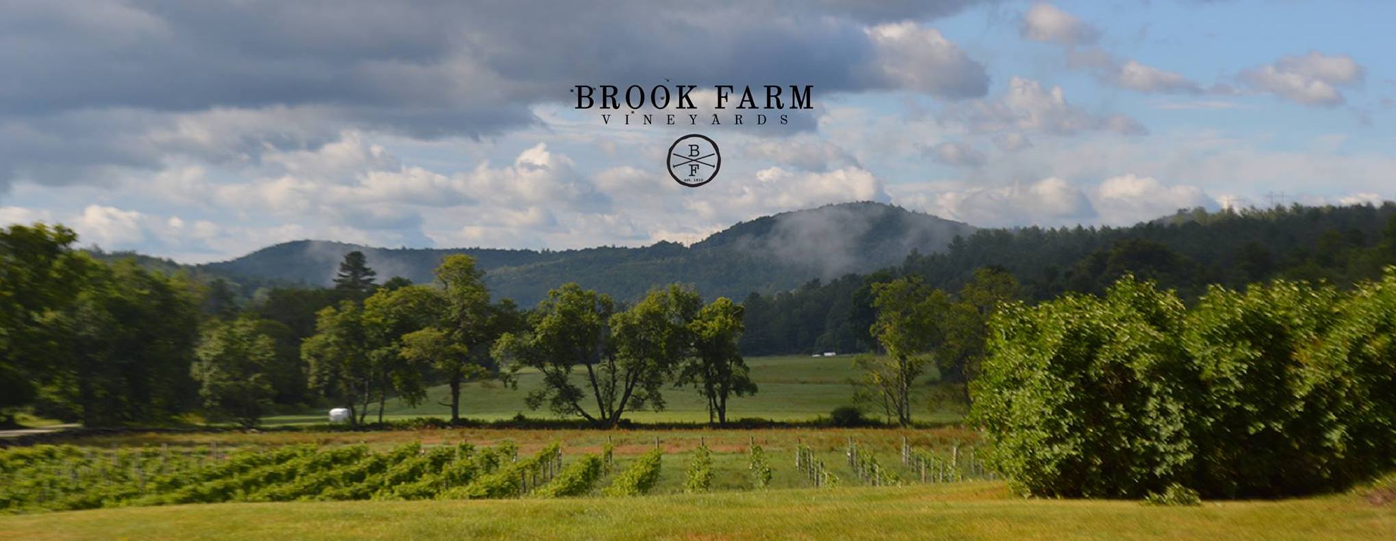 vineyards brook farm.13147684_647233982096709_3187957986619890513_o