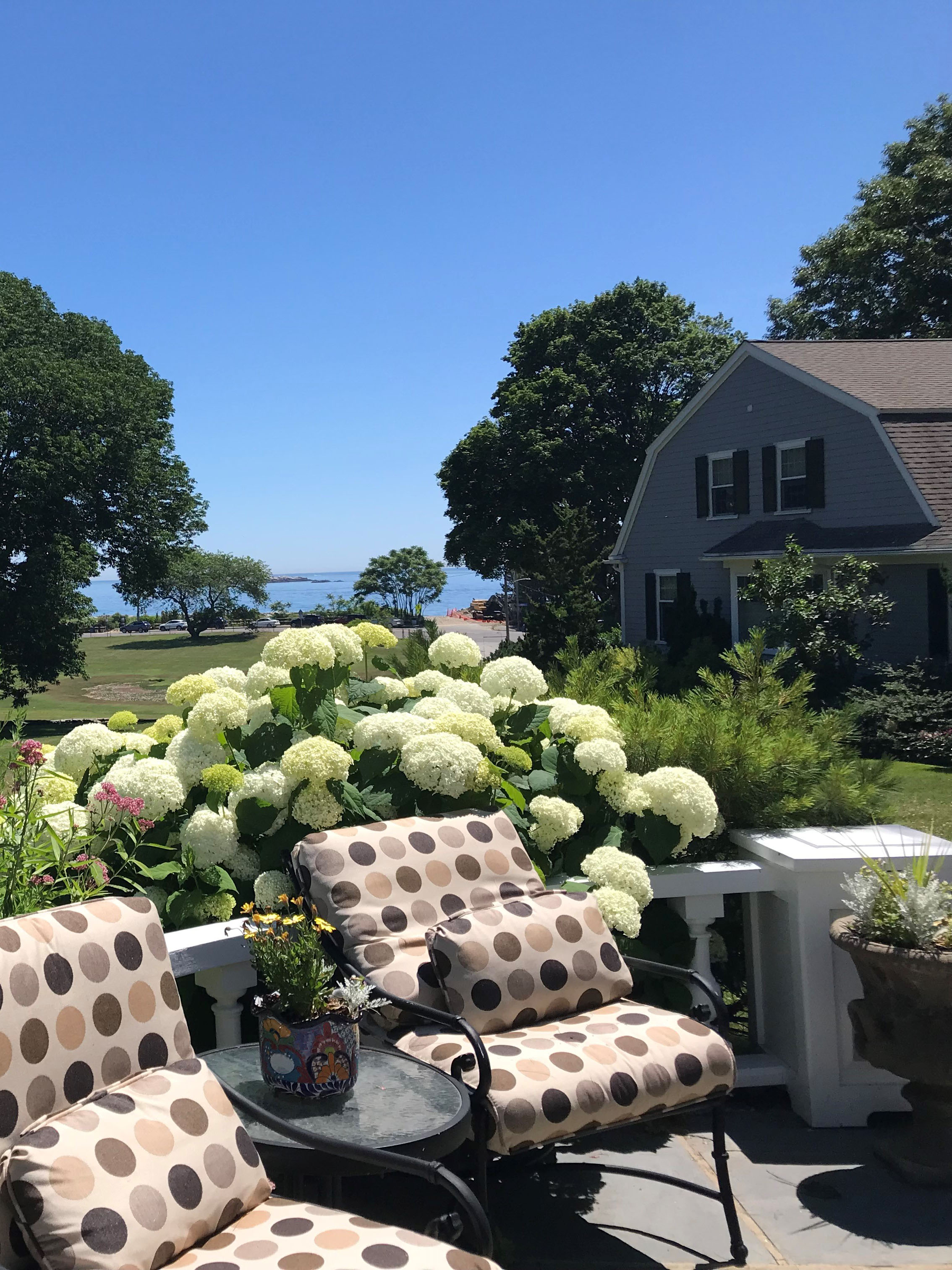 144 Beach Bluff New England Flower Wars