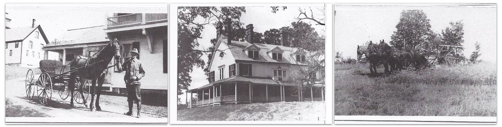 Brook Farm, in the beginning... brook farm. Dia Jenks 2018-06-28_10-42-02_AM