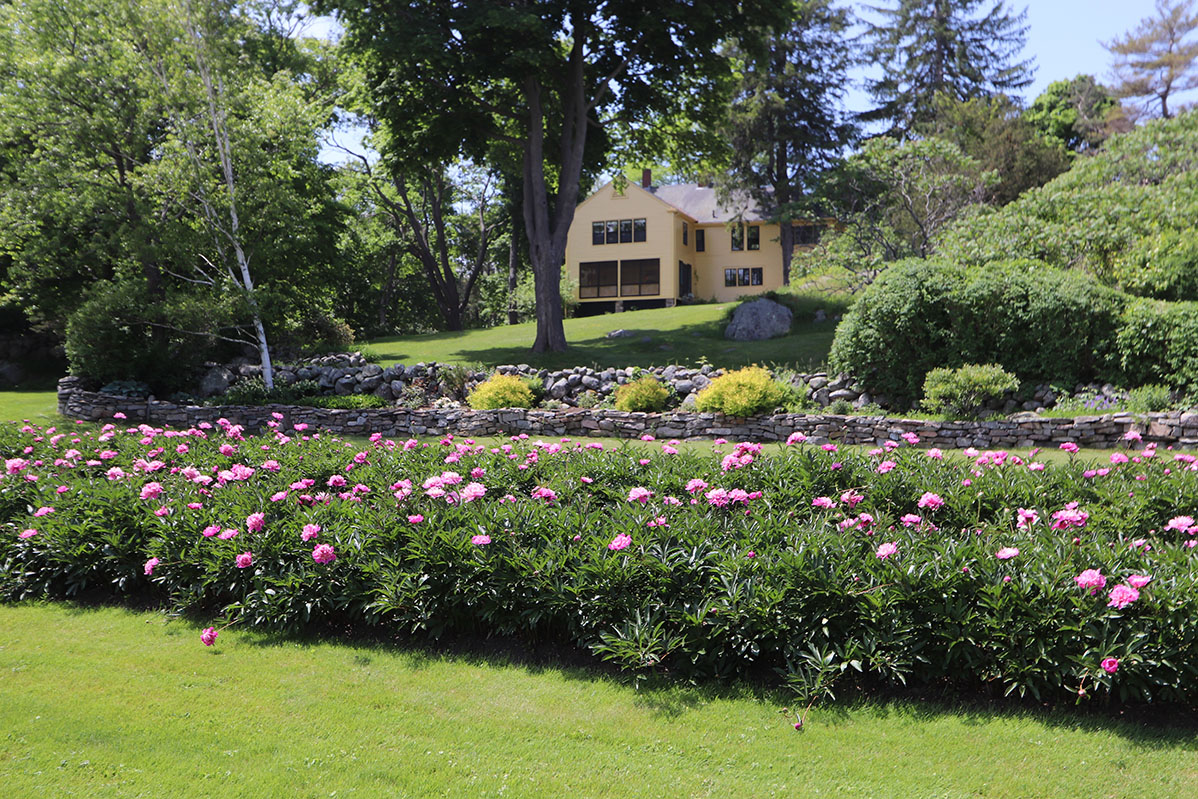 Yellow House Farm, Gloucester, MA yellow house farm