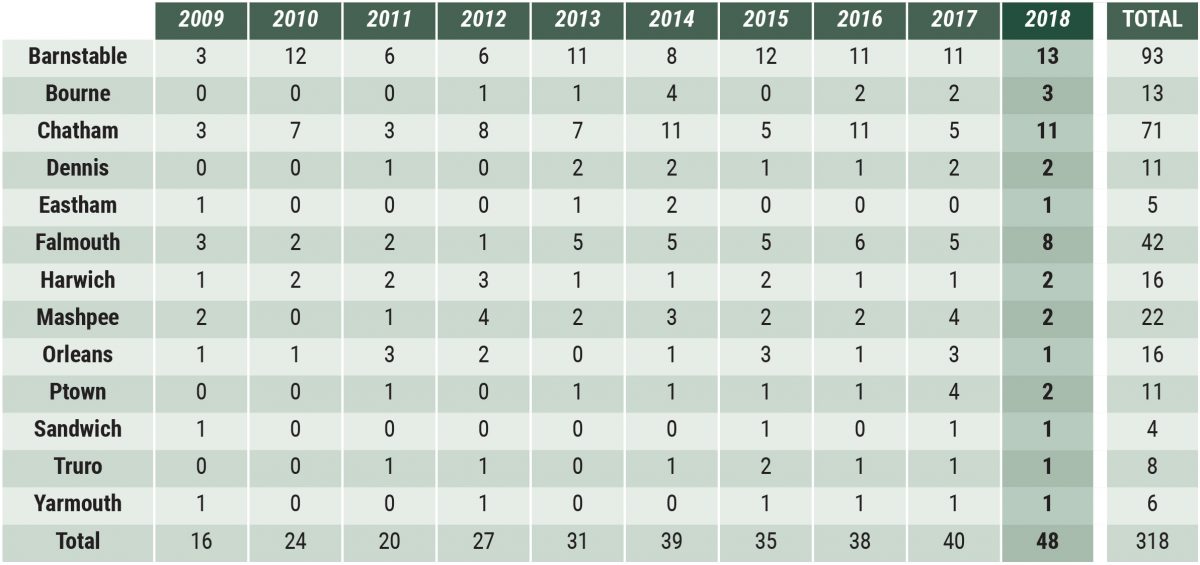 Cape Cod - Sales by Town table