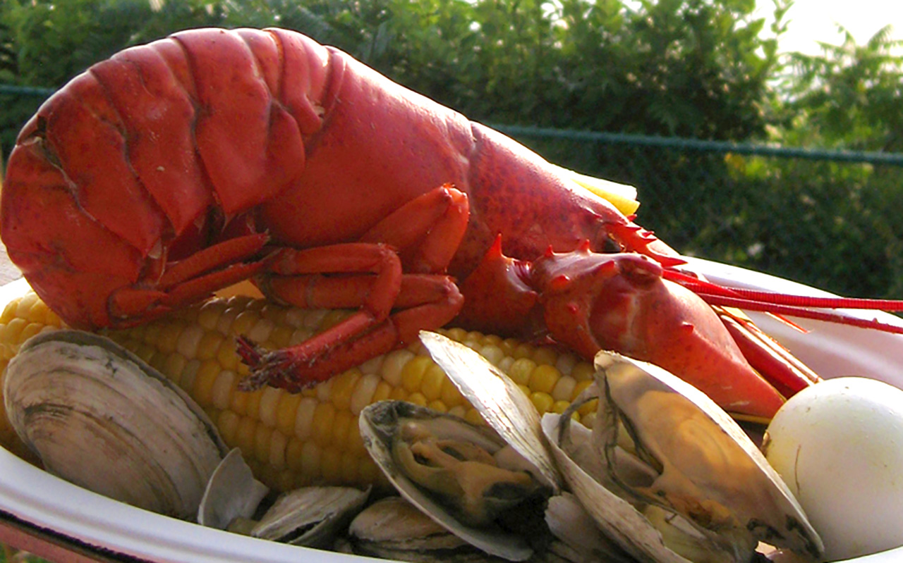 Maine lobster photo by Rex Hammock
