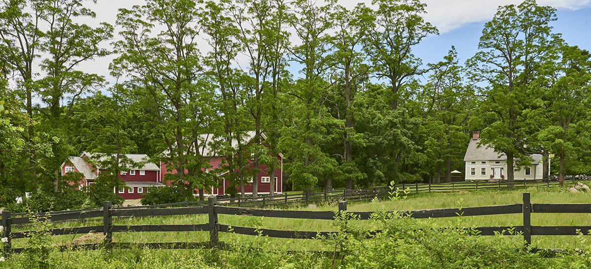 Seven Bridges Farm Old Chatham NY0336_22