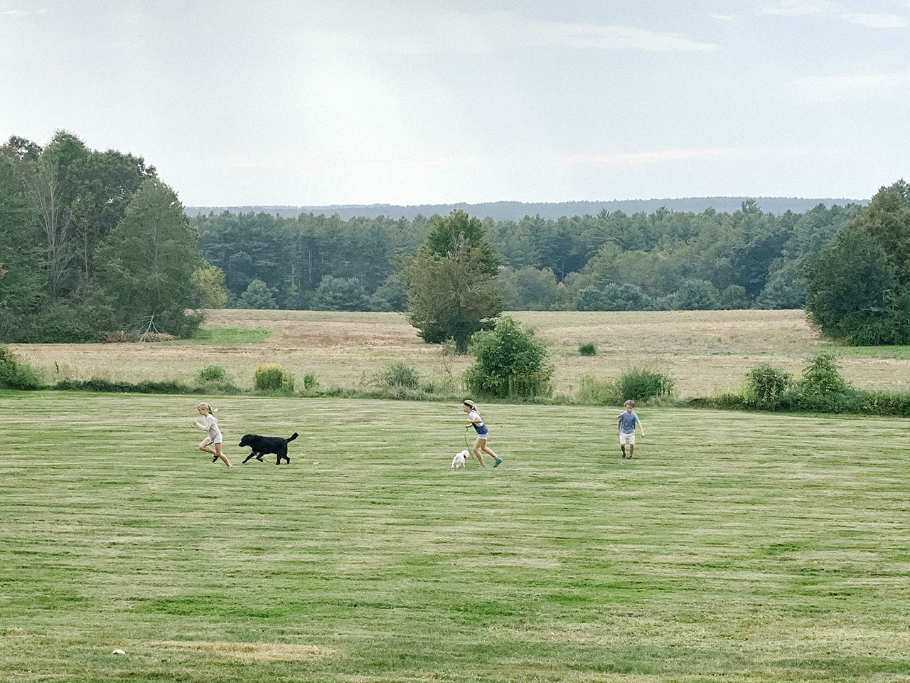 Lawrence homestead