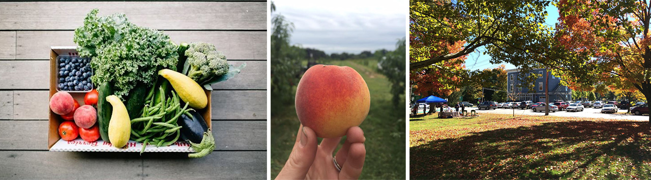 The neighborhood 171 Littleton County Road Orchards