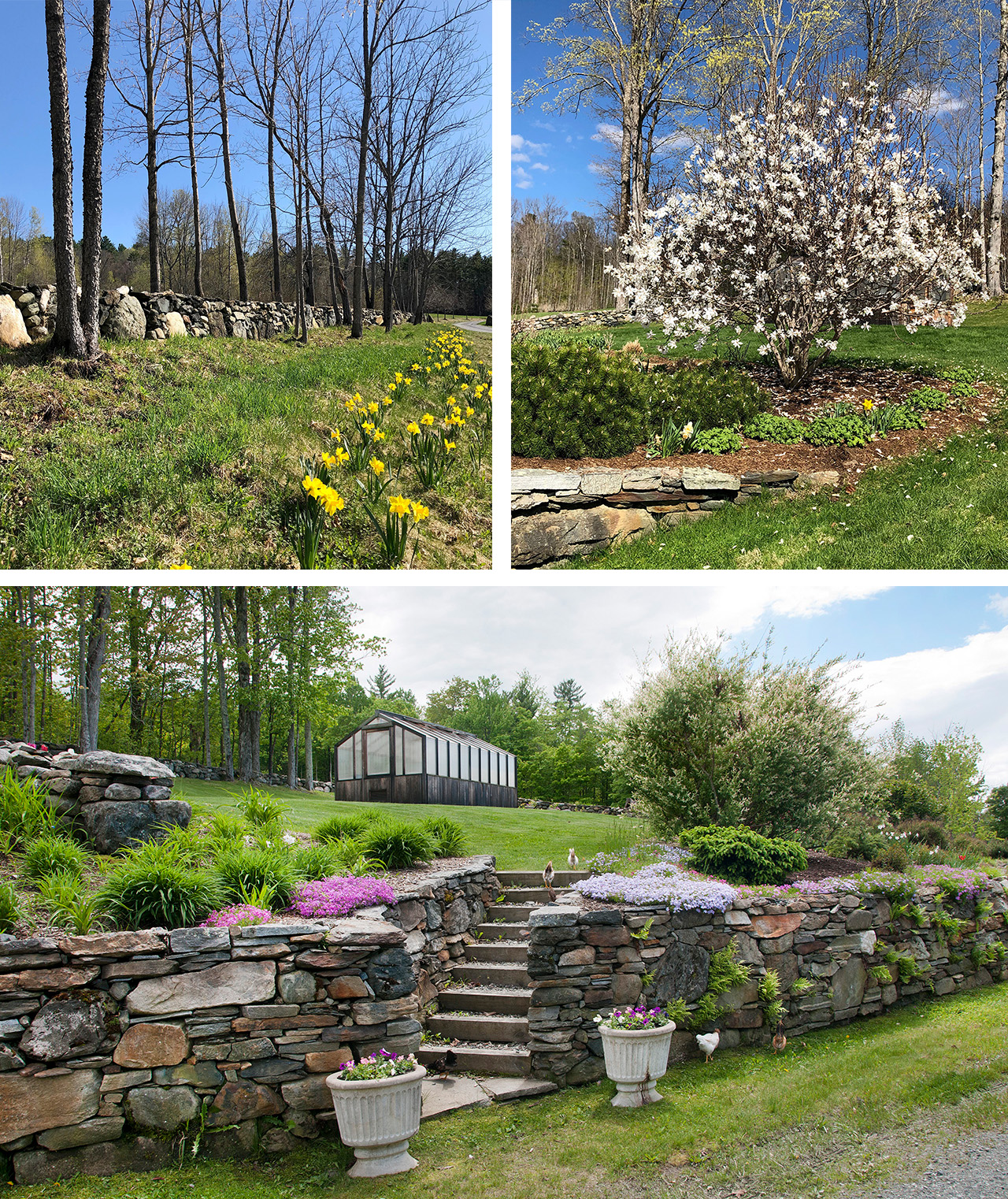 Spectacular spring display washburn hill road NH0462-33.35.6