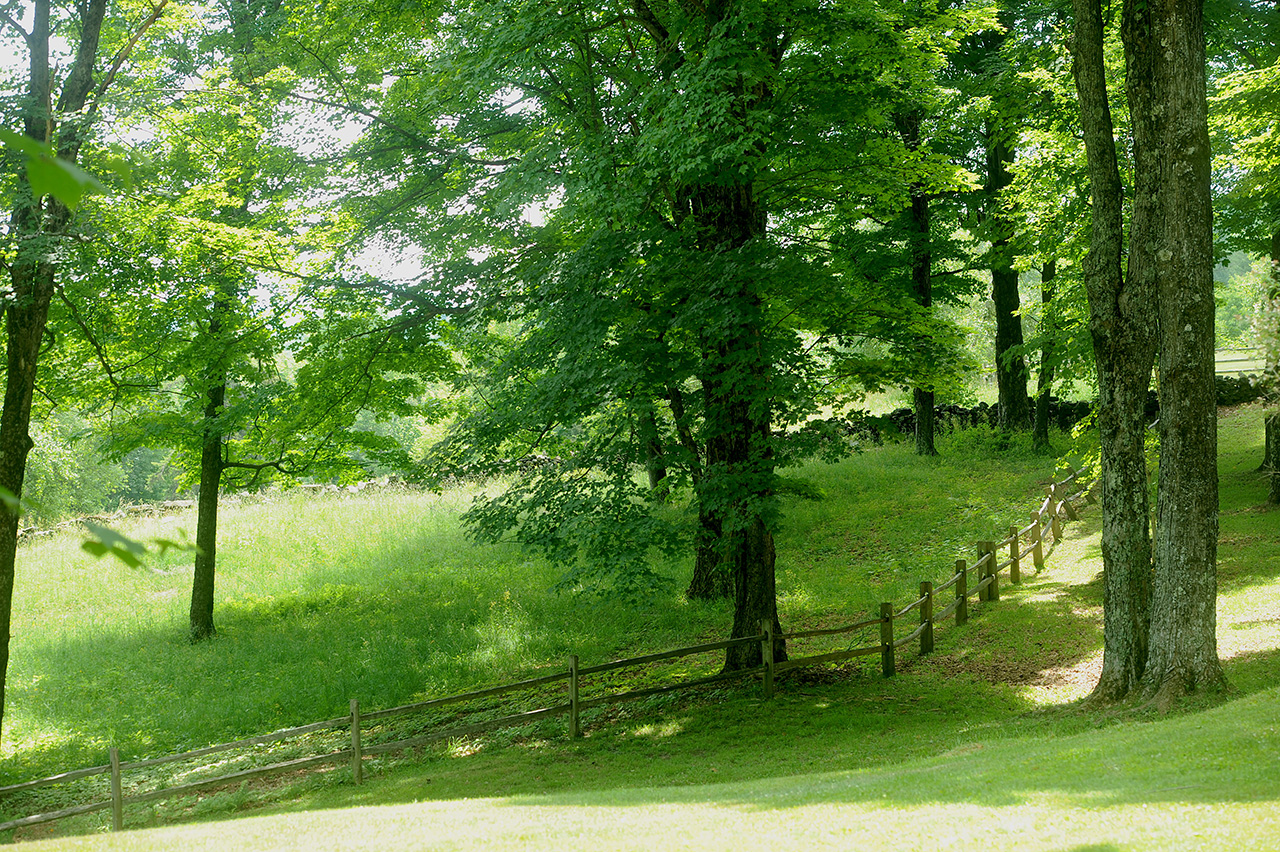 Views For sale by Story Jenks, Dia Jenks and Ruth Kennedy Sudduth