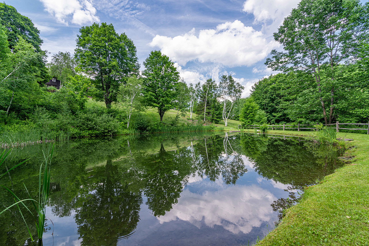 Views For sale by Story Jenks, Dia Jenks and Ruth Kennedy Sudduth