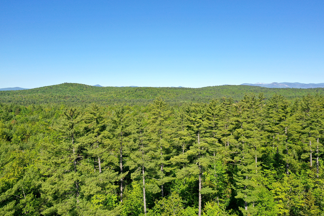 The Conservation Fund default