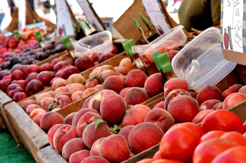 Kensington Farmers Market