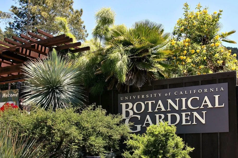 Berkeley Botanical Garden