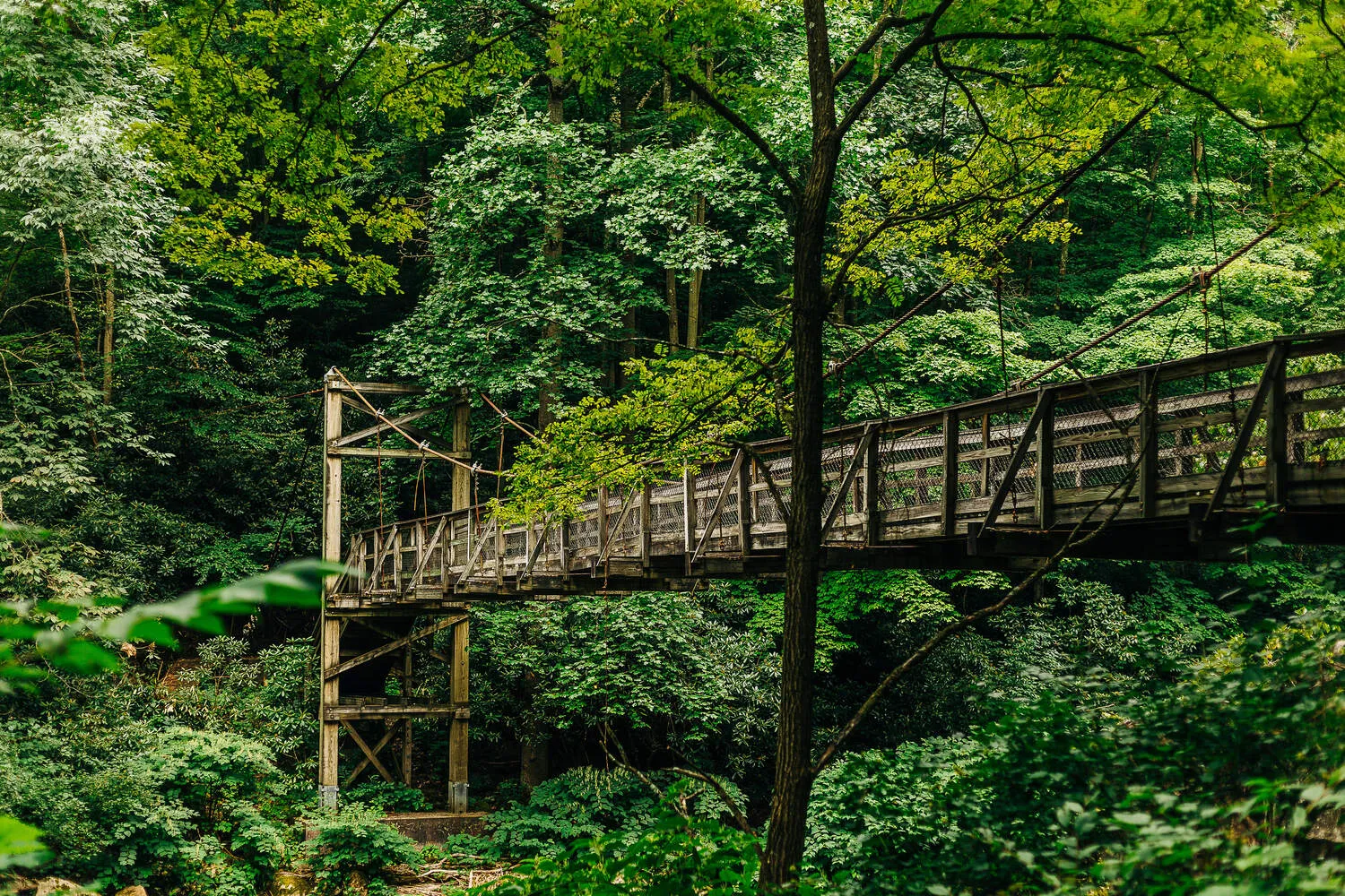 Nature