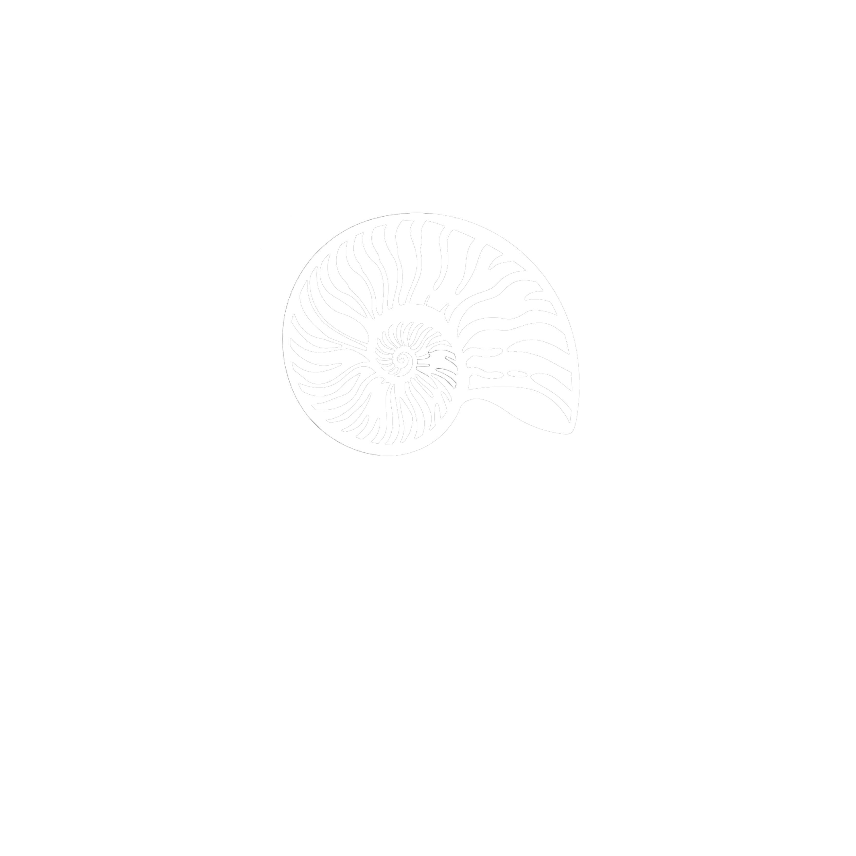 Betsy Kimrey logo