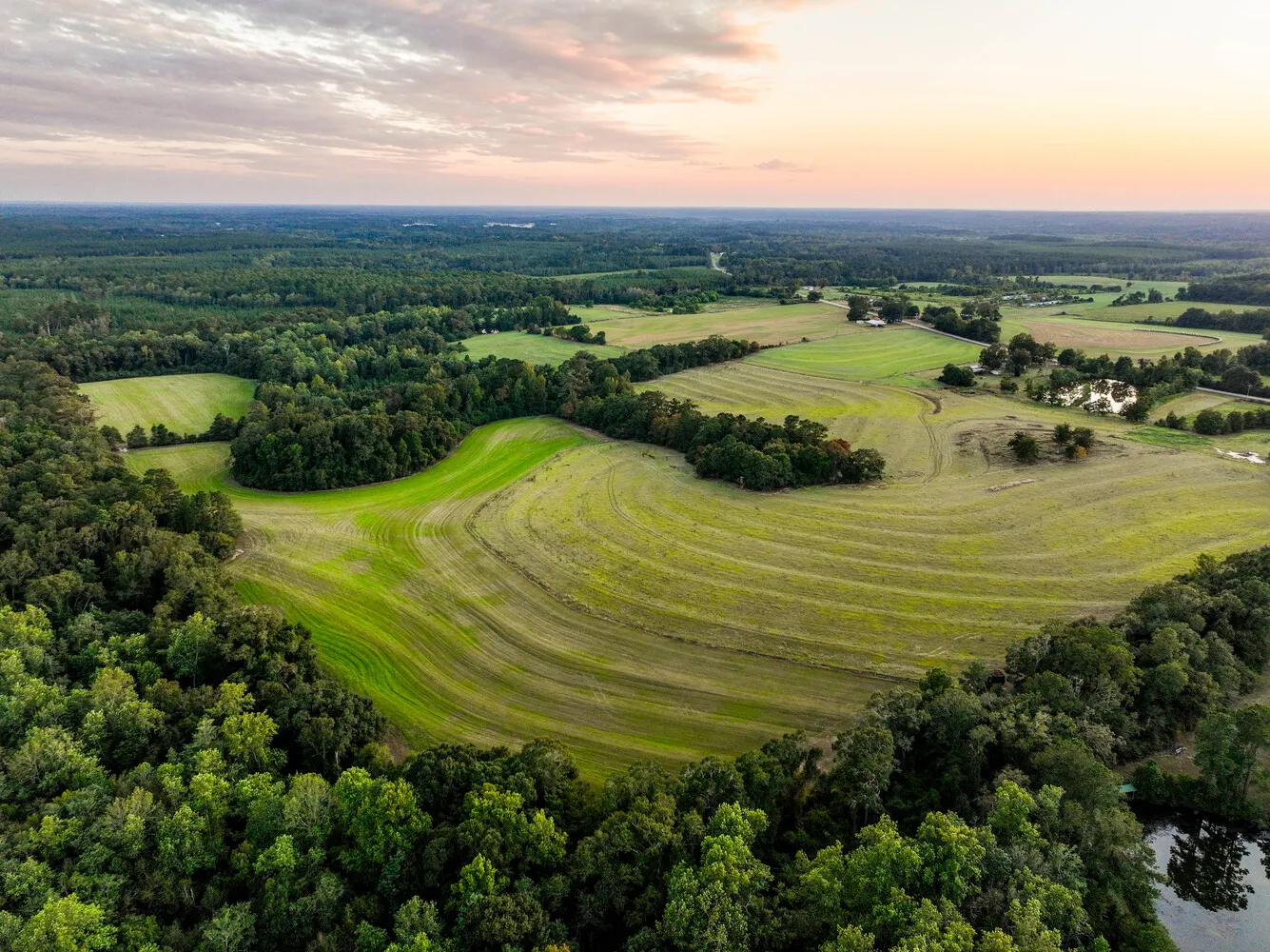 Land Aerial View