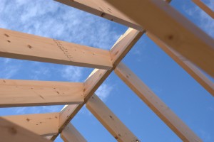 Asheville NC Luxury Homes and Builders
