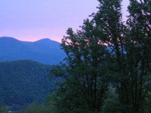 Biltmore Forest