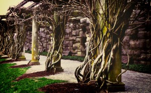 Asheville NC Luxury Homes