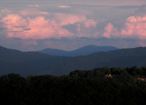 Asheville Homes