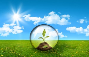 Eco Homes