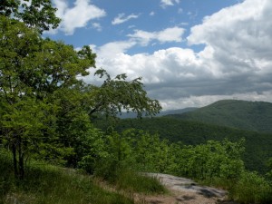 Guide to Asheville NC Land