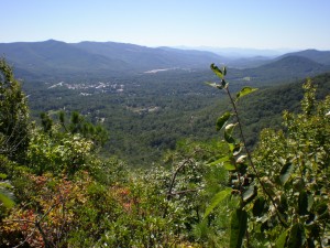 Asheville Homes and Land