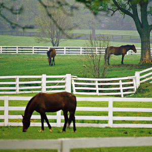 Asheville North Carolina Luxury Homes