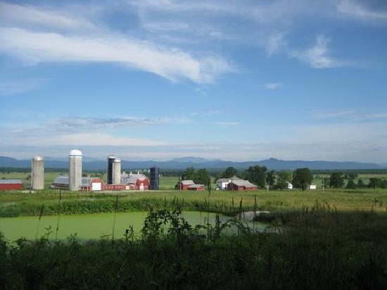Bridport VT Farms