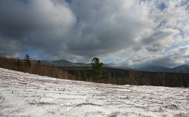 Goshen VT Land